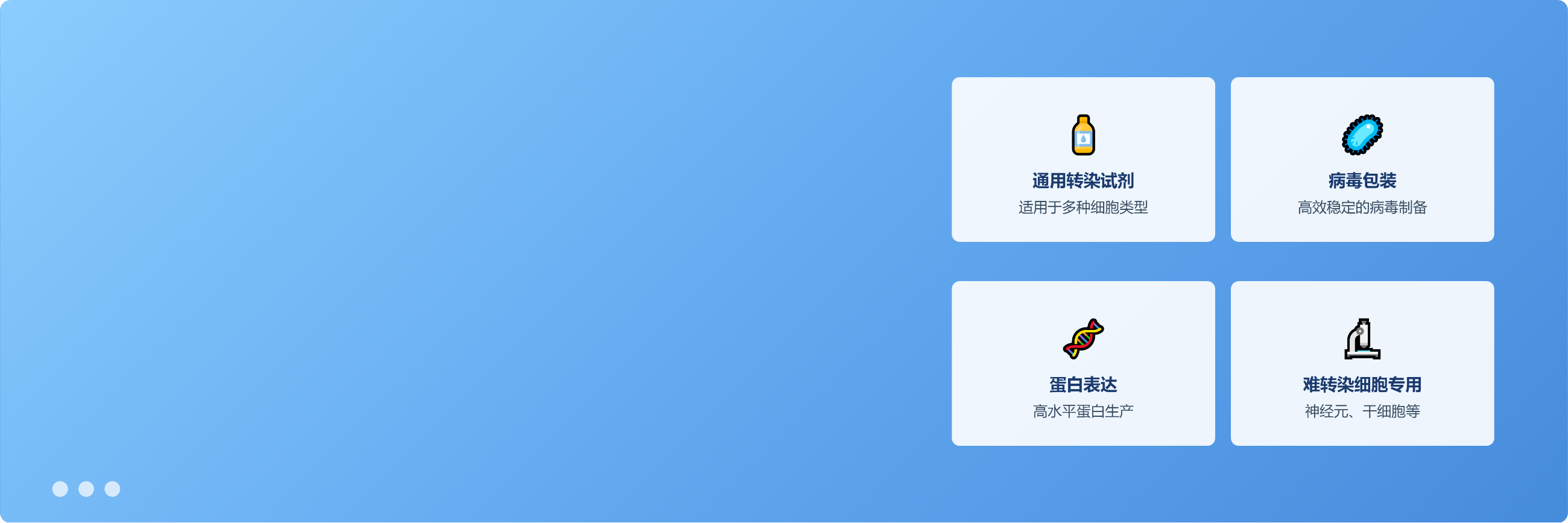 <strong>转染试剂</strong>