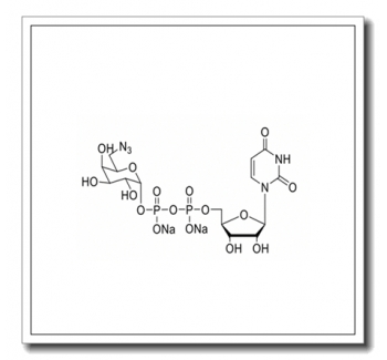 UDP-6-azdio-6-deoxy-D-Gal.2Na
