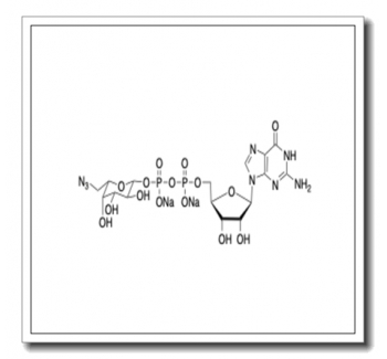 GDP-Azido-Fucose